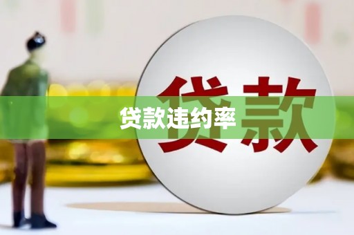 峨边贷款违约率