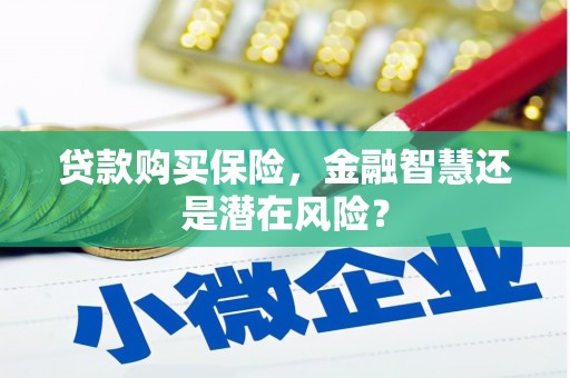 峨边贷款购买保险，金融智慧还是潜在风险？