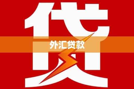 峨边外汇贷款