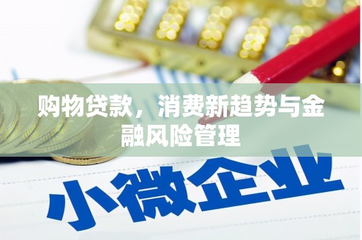 峨边购物贷款，消费新趋势与金融风险管理
