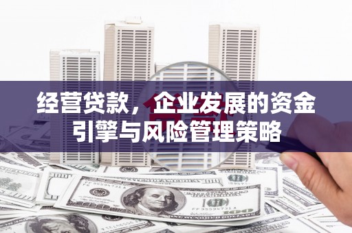峨边经营贷款，企业发展的资金引擎与风险管理策略