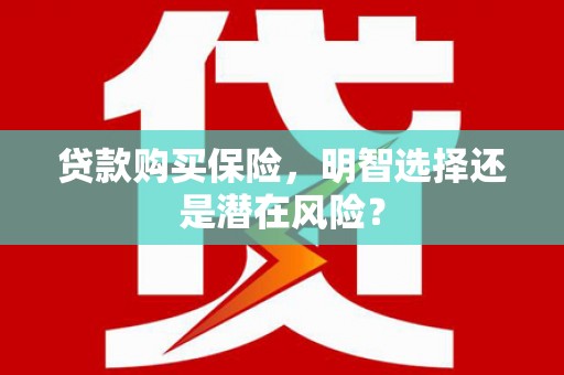 峨边贷款购买保险，明智选择还是潜在风险？