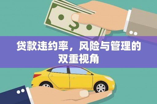 峨边贷款违约率，风险与管理的双重视角
