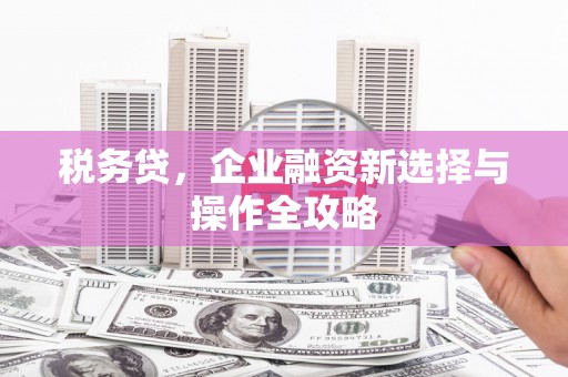 峨边税务贷，企业融资新选择与操作全攻略