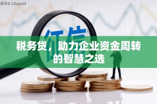 峨边税务贷，助力企业资金周转的智慧之选