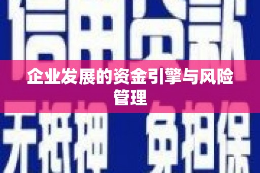 峨边企业发展的资金引擎与风险管理