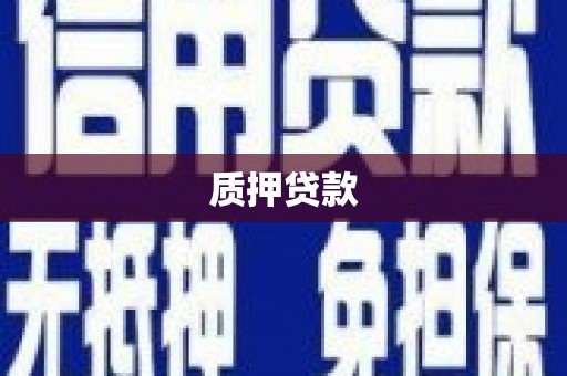 峨边质押贷款