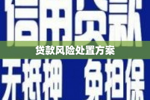 峨边贷款风险处置方案