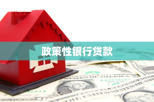 峨边政策性银行贷款
