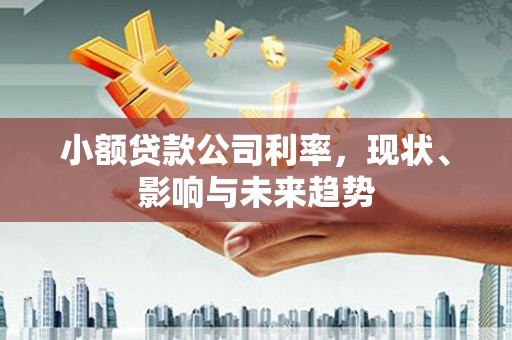峨边小额贷款公司利率，现状、影响与未来趋势