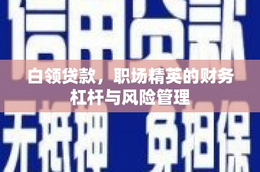 峨边白领贷款，职场精英的财务杠杆与风险管理