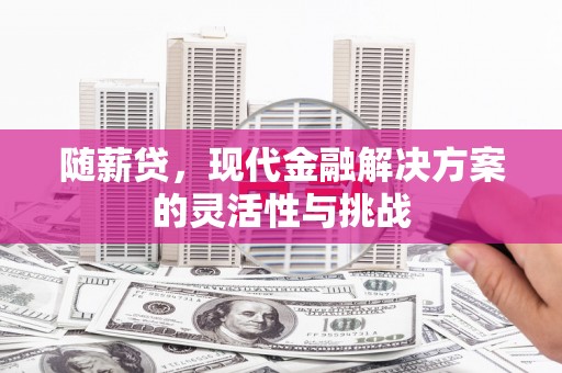 峨边随薪贷，现代金融解决方案的灵活性与挑战