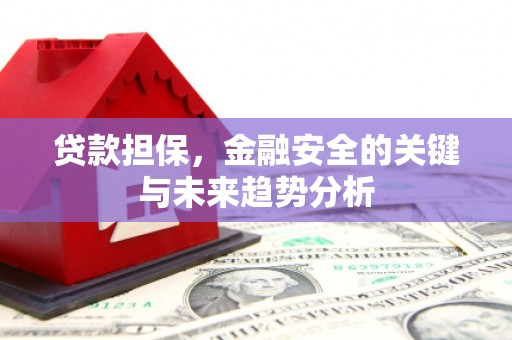 峨边贷款担保，金融安全的关键与未来趋势分析