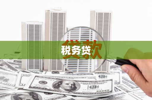 峨边税务贷