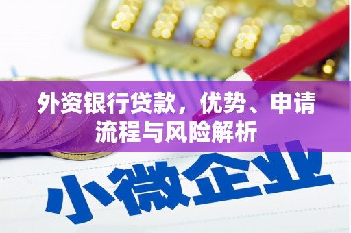 峨边外资银行贷款，优势、申请流程与风险解析