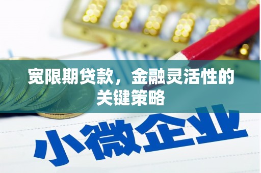 峨边宽限期贷款，金融灵活性的关键策略