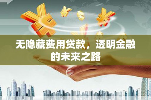 峨边无隐藏费用贷款，透明金融的未来之路