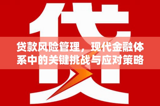 峨边贷款风险管理，现代金融体系中的关键挑战与应对策略