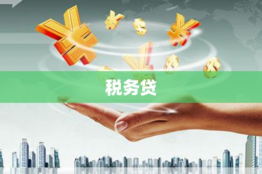 峨边税务贷