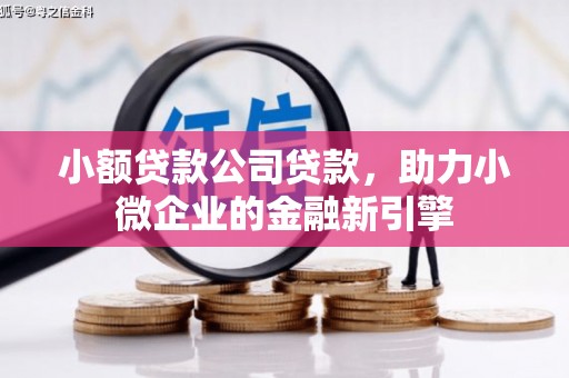 峨边小额贷款公司贷款，助力小微企业的金融新引擎