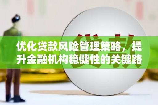 峨边优化贷款风险管理策略，提升金融机构稳健性的关键路径