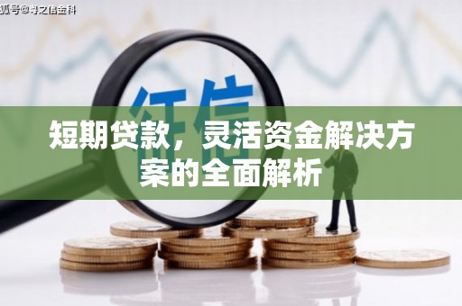峨边短期贷款，灵活资金解决方案的全面解析