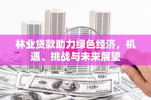 峨边林业贷款助力绿色经济，机遇、挑战与未来展望