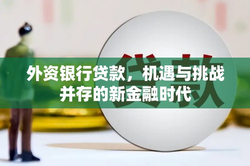 峨边外资银行贷款，机遇与挑战并存的新金融时代