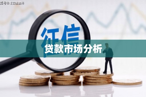 峨边贷款市场分析