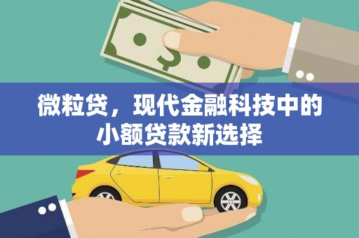 峨边微粒贷，现代金融科技中的小额贷款新选择