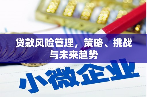 峨边贷款风险管理，策略、挑战与未来趋势
