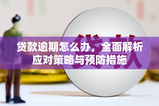 峨边贷款逾期怎么办，全面解析应对策略与预防措施
