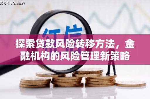 峨边探索贷款风险转移方法，金融机构的风险管理新策略