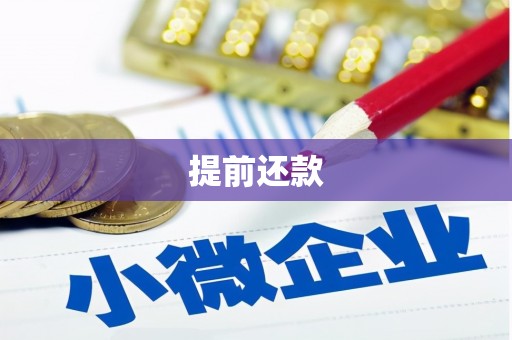 峨边提前还款