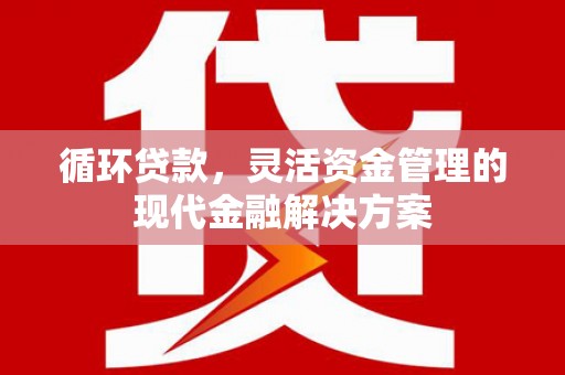 峨边循环贷款，灵活资金管理的现代金融解决方案