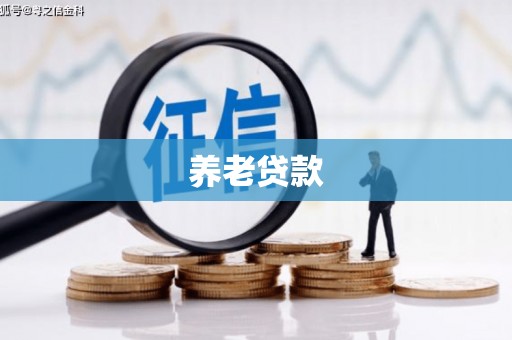 峨边养老贷款