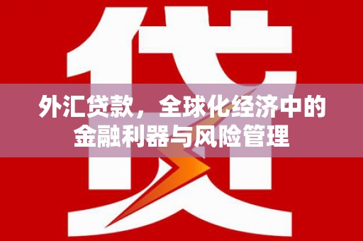 峨边外汇贷款，全球化经济中的金融利器与风险管理