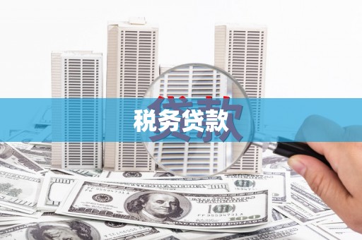 峨边税务贷款
