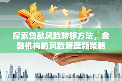 峨边探索贷款风险转移方法，金融机构的风险管理新策略