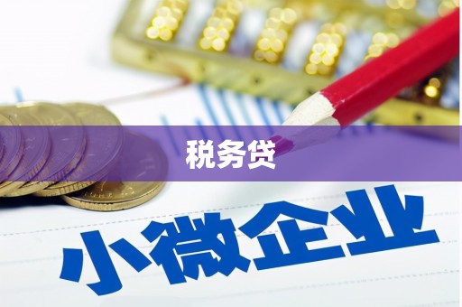 峨边税务贷