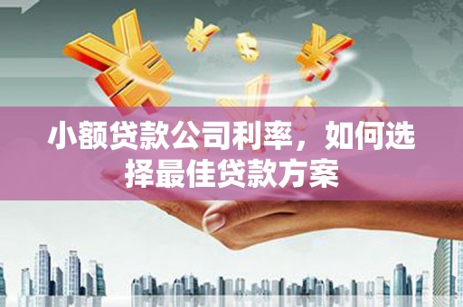 峨边小额贷款公司利率，如何选择最佳贷款方案