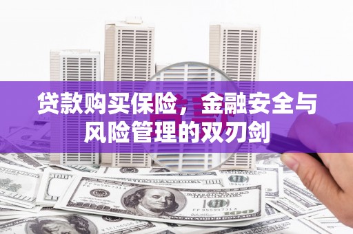 峨边贷款购买保险，金融安全与风险管理的双刃剑