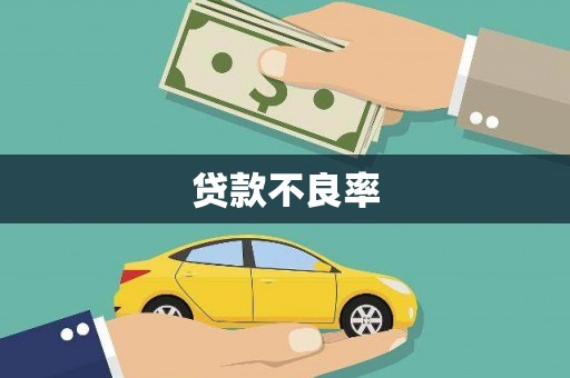 峨边贷款不良率