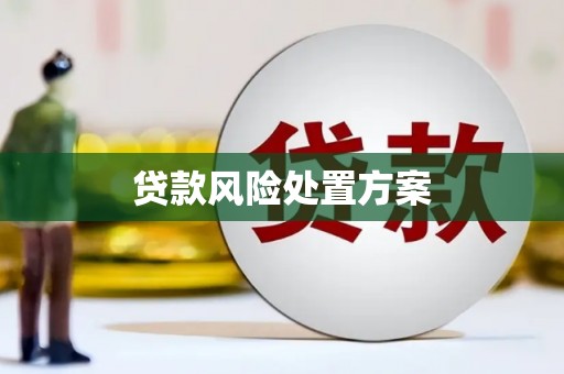 峨边贷款风险处置方案