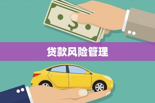 峨边贷款风险管理