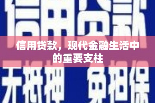 峨边信用贷款，现代金融生活中的重要支柱