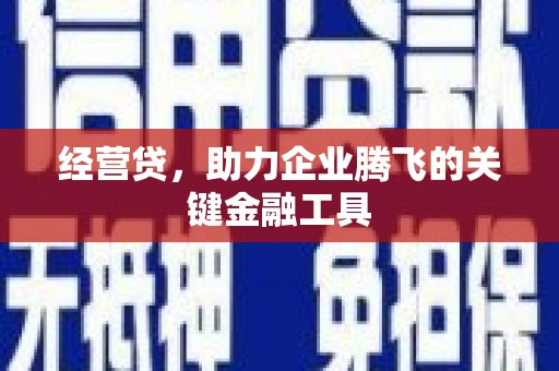峨边经营贷，助力企业腾飞的关键金融工具