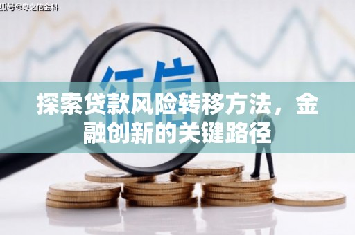 峨边探索贷款风险转移方法，金融创新的关键路径