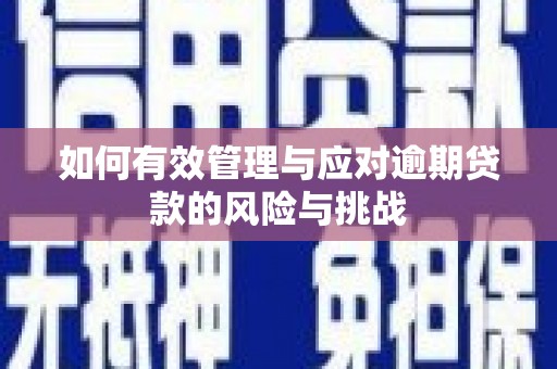 峨边如何有效管理与应对逾期贷款的风险与挑战
