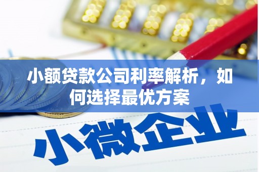 峨边小额贷款公司利率解析，如何选择最优方案